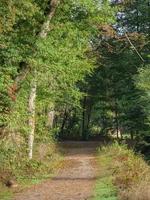 at the river Berkel in germany photo