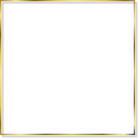 Golden Thin Flossy Frame with Shadow png