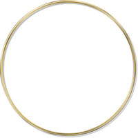 Golden Thin Flossy Frame with Shadow png