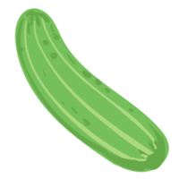 green cucumber isolated on white png