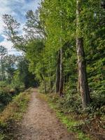 at the river Berkel in germany photo