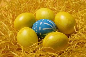 yellow easter eggs on straw background photo