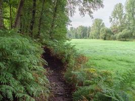 at the river Berkel in germany photo