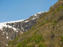 spring time in Flam Norway photo