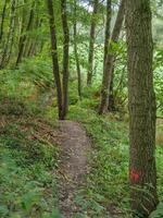 at the river Berkel in germany photo