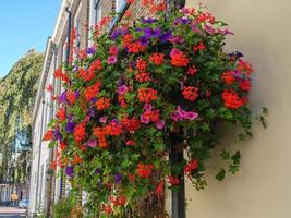 the dutch city of doesburg photo