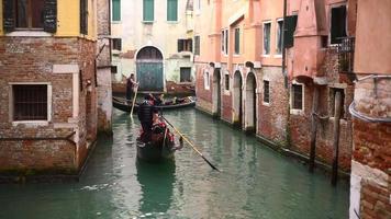 turist i Italien gondol rida i Venedig video