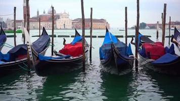 turismo nel Italia, gondole nel Venezia video