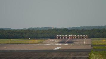 European hare Lepus europaeus hare crosses the runway in front of the landing airplane. Airport on Dusseldorf, Germany video