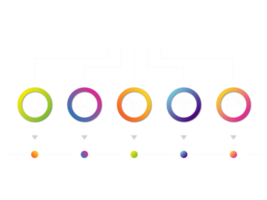 objet de cercle coloré en cinq étapes pour le modèle d'infographie png