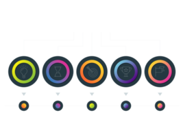 objeto de círculo colorido de cinco passos para modelo infográfico png