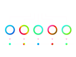 cinque passaggi colorato cerchio oggetto per Infografica modello png