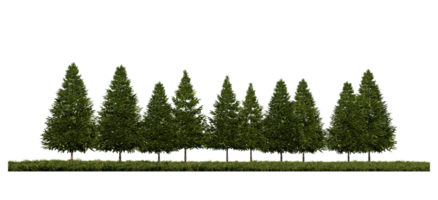 Imagen de renderizado 3ds de la vista frontal de pinos en el campo de pastos png