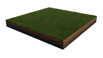 3d rendering image of grass field island on transparent background png