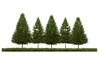 Imagen de renderizado 3ds de la vista frontal de pinos en el campo de pastos