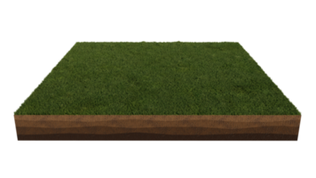 3d rendering image of grass field island on transparent background png