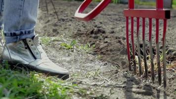 een boer in spijkerbroek graaft de grond om met een rode vorkvormige schop. een wonderschep, een handig stuk gereedschap. handmatige cultivator. de cultivator is een efficiënt handgereedschap voor grondbewerking. het bed losmaken. video