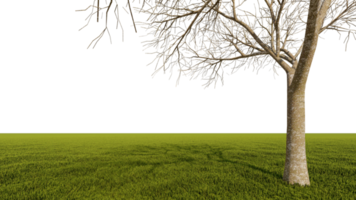 A 3d rendering image of a big dead  tree placed grass field. png