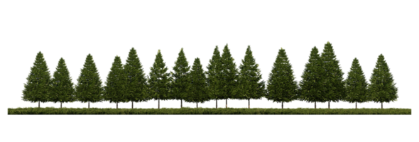 Imagen de renderizado 3ds de la vista frontal de pinos en el campo de pastos png