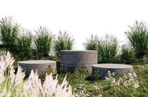 A 3d rendering image of product display on grass field png