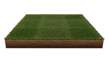 3d rendering image of grass field island on transparent background png