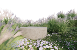 A 3d rendering image of product display on grass field png