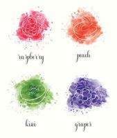 Watercolor fruits, set. Raspberry, Peach, Kiwi, Grapes. vector