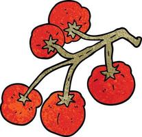 cartoon doodle tomatoes on vine vector