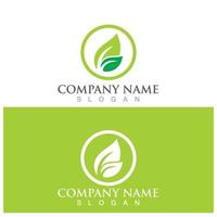 leaf ecology  logo and vector template