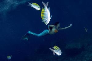 sirena nadando bajo el agua en el mar azul profundo con peces foto