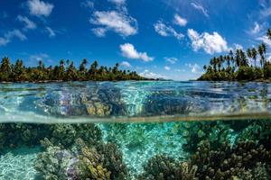 Snorkeling en la polinesia francesa bajo el mundo foto