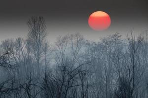 sunset on winter time photo
