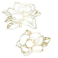 Vector sketch of black hand-painted magnolia flower