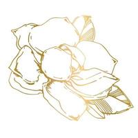 Vector sketch of black hand-painted magnolia flower