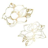 Vector sketch of black hand-painted magnolia flower