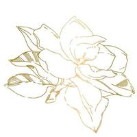 Vector sketch of black hand-painted magnolia flower