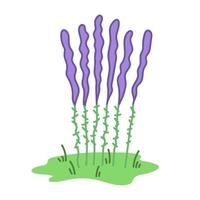 Long purple plants in lawn. Hand drawn illustration in cartoon style. Vector isolated on white background.