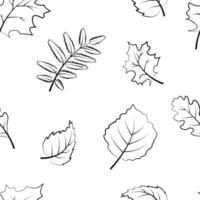 autumn seamless pattern with leaves vector