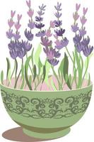 lavanda en maceta. ilustración vectorial de flores silvestres vector