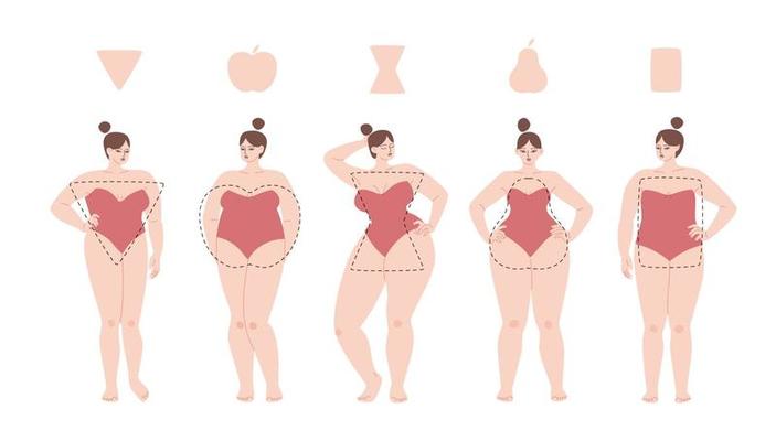 Set of Female Body Shape Types: Triangle, Inverted Triangle, Hourglass,  Rectangle, Round Stock Vector