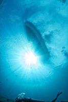 diving boat ship from underwater blue ocean with sun rays photo