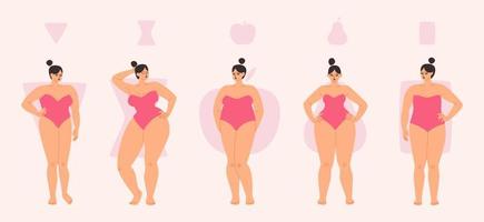 Plump female body types are apple, triangle, hourglass and rectangle. Diverse women in swimsuits stand in a row. Vector illustration of chubby girls in pink isolated.