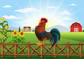 Cartoon rooster crowing at farm field in the morning with sun rising vector