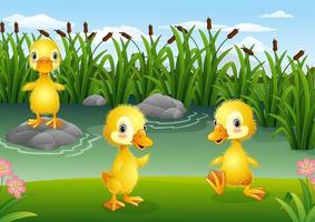 Cartoon little ducklings playing in the pond vector