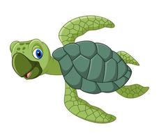 Cute turtle cartoon vector