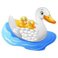 Cartoon mother duck with baby duck floats on water vector