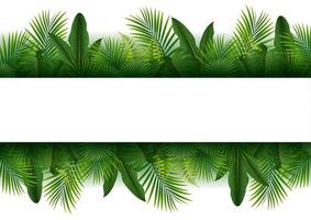 cartel en blanco con fondo de bosque tropical vector