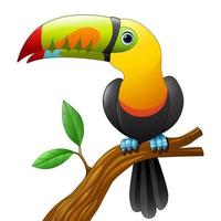 Toucan cartoon sitting on the branch vector