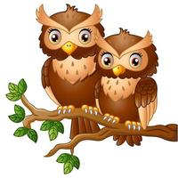 Cute couple owl on the tree branch vector