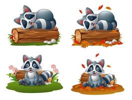 Cute cartoon raccoon collections set vector